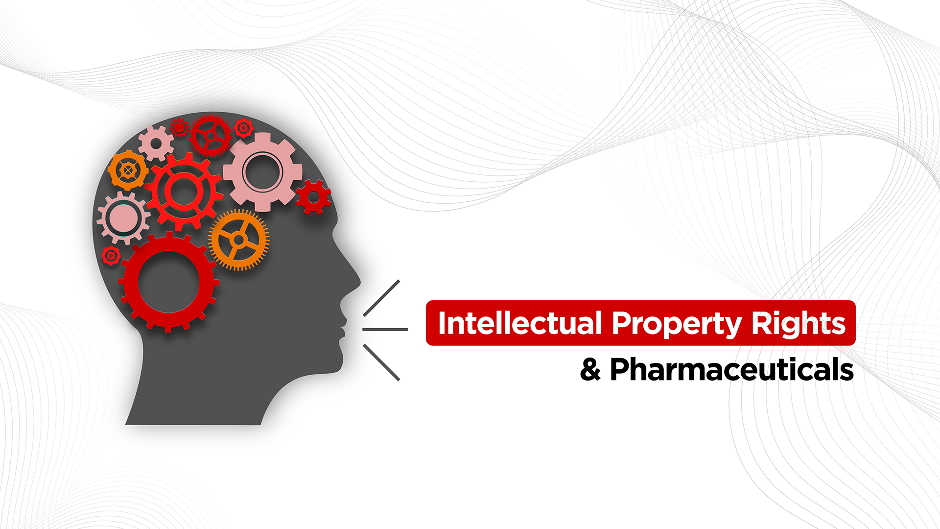 IPR.png