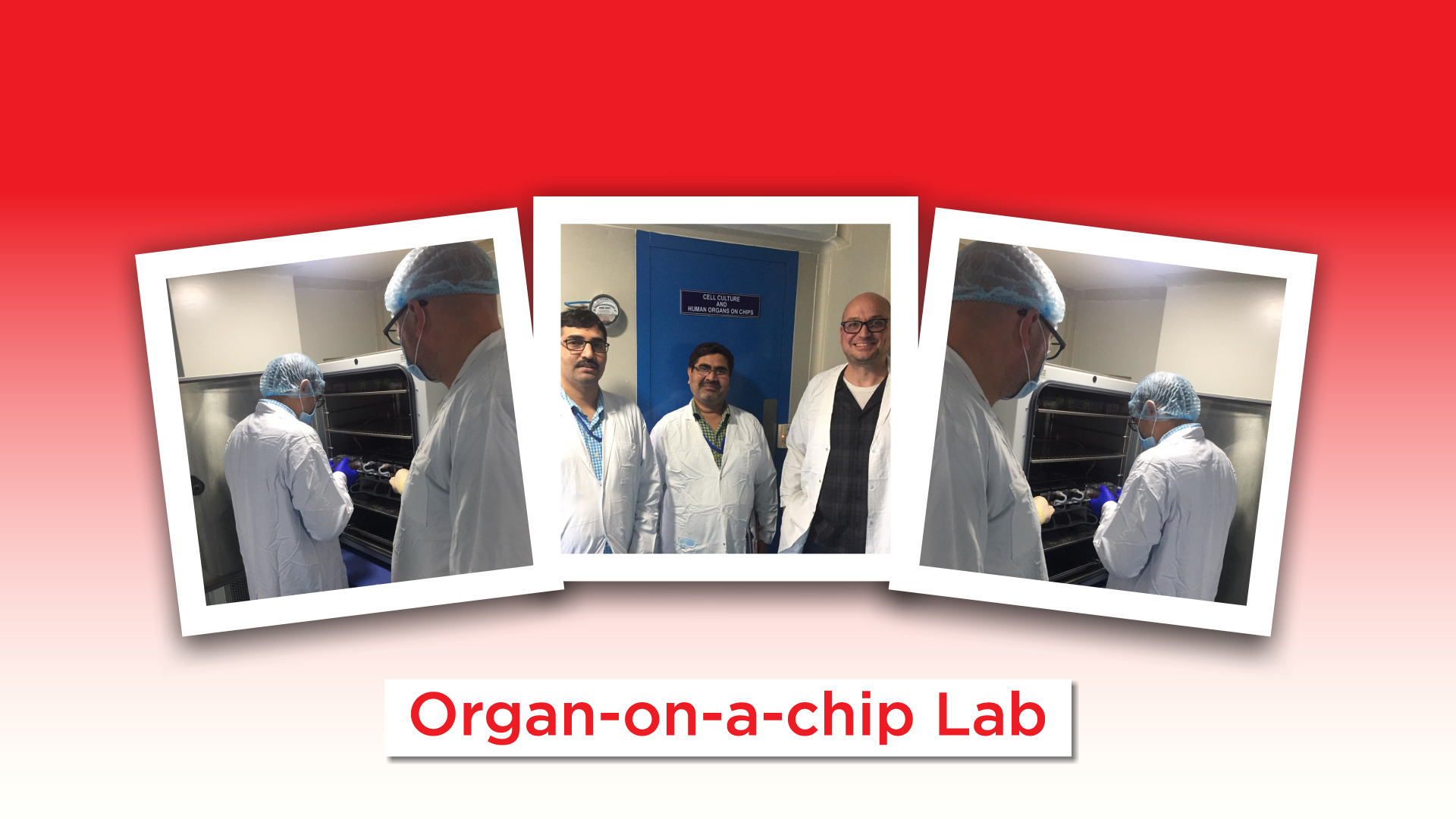 organ-chip.jpg